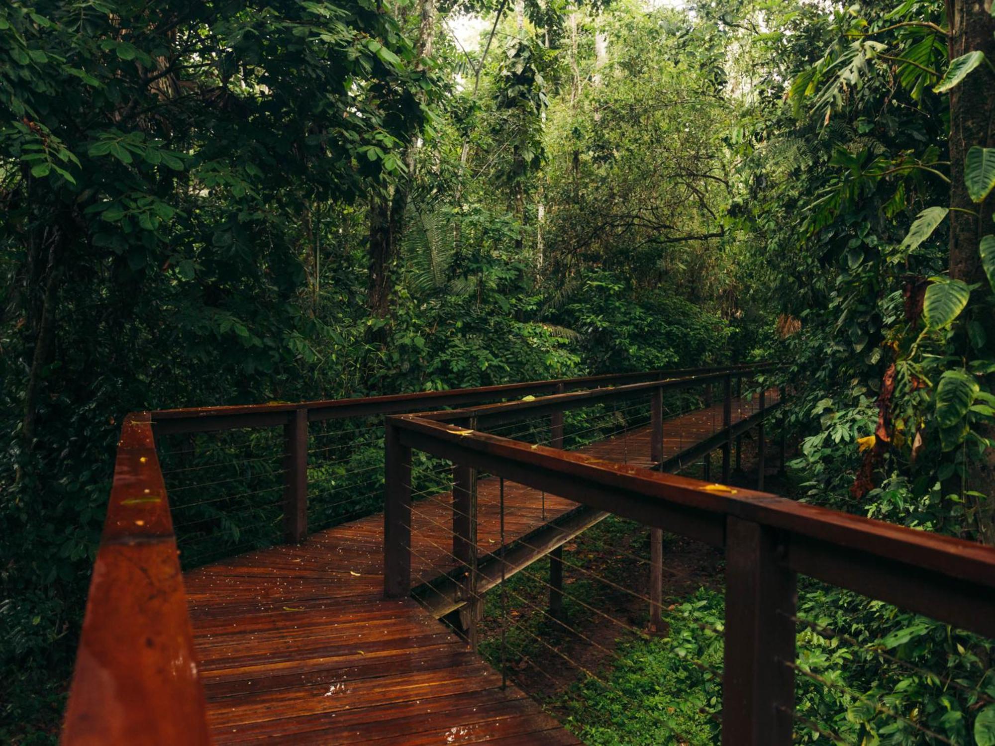 Tambopata Research Center Villa Exterior photo