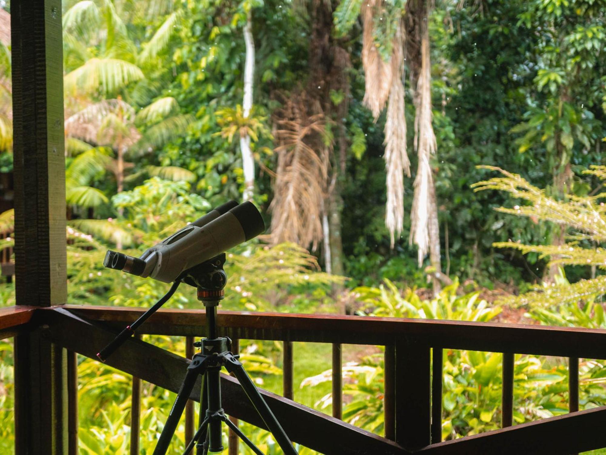 Tambopata Research Center Villa Exterior photo